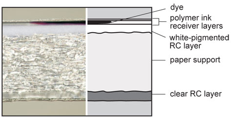 Plain Paper: Surface