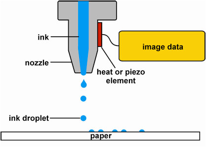 DP3: Digital Print Preservation Portal