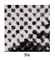 Micrograph of toner particles