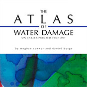 The Atlas of Water Damage on Inkjet-printed Fine Art