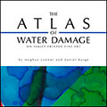 The Atlas of Water Damage on Inkjet-printed Fine Art